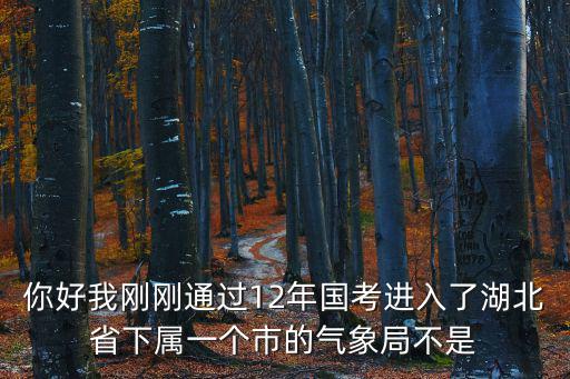 你好我剛剛通過12年國考進入了湖北省下屬一個市的氣象局不是