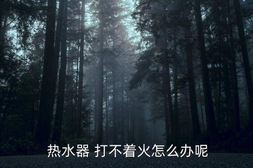  熱水器 打不著火怎么辦呢