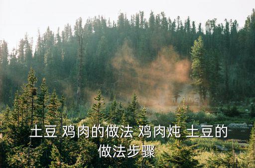 土豆燉雞肉的做法