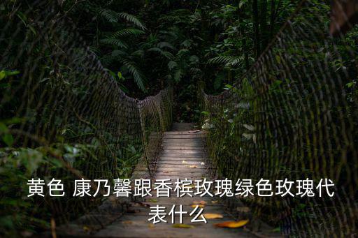  黃色 康乃馨跟香檳玫瑰綠色玫瑰代表什么
