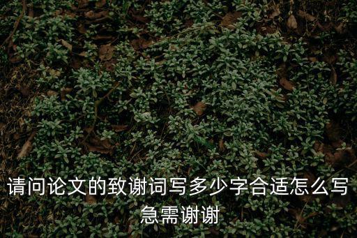 博士論文致謝，論文得致謝怎么寫