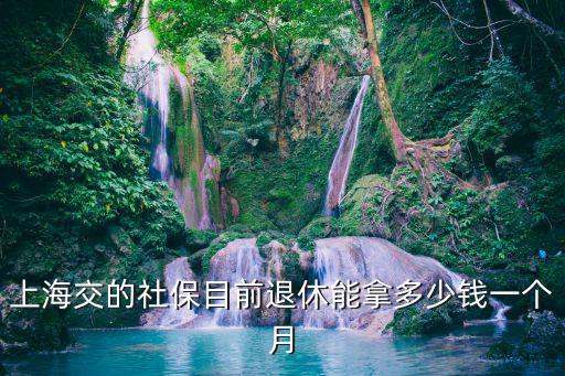 上海交的社保目前退休能拿多少錢一個月
