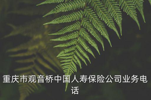重慶市觀音橋中國人壽保險(xiǎn)公司業(yè)務(wù)電話
