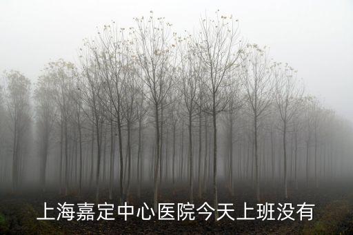上海嘉定中心醫(yī)院今天上班沒有