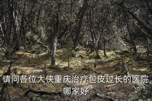 請問各位大俠重慶治療包皮過長的醫院哪家好