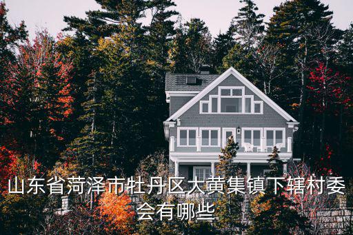 劉佰,山東菏澤市大黃集鎮下轄村委會