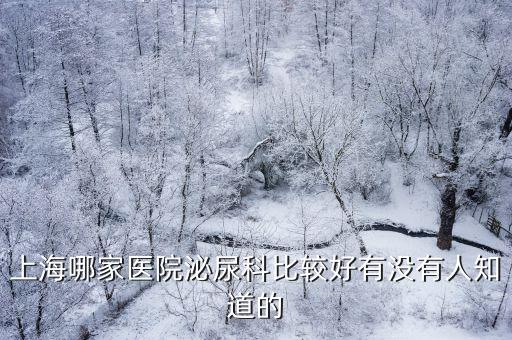 上海市哪家醫院泌尿科好，上海泌尿系統的醫院哪家男子醫院最好