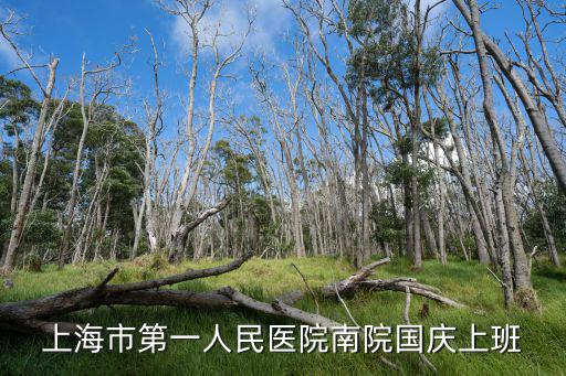 上海第一人民醫院 上班時間查詢，上海第一人民醫院初幾上班