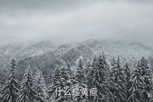 什么是黃疸