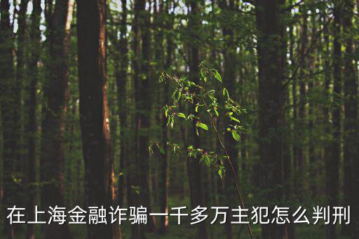 在上海金融詐騙一千多萬主犯怎么判刑