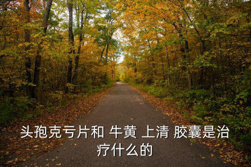 頭孢克虧片和 牛黃 上清 膠囊是治療什么的