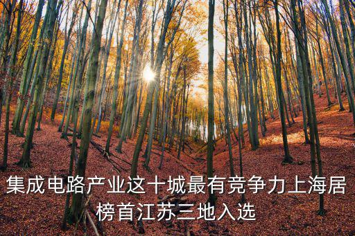 集成電路產(chǎn)業(yè)上海市，上海集成電路研發(fā)中心是上市公司嗎