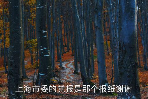 上海市委組織部報(bào)社，上海曹安路178號凱策公司