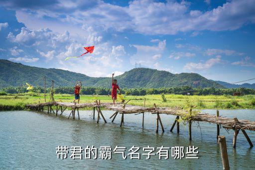帶君的霸氣名字，帶君的霸氣名字有哪些