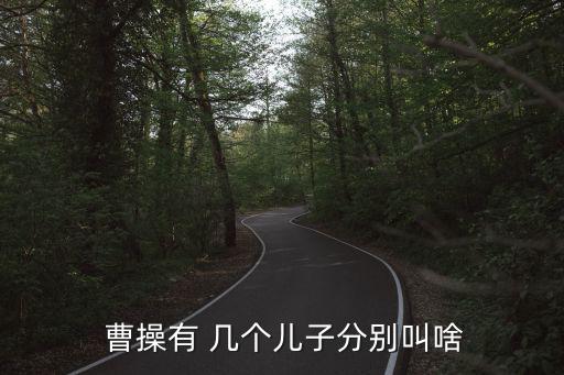  曹操有 幾個兒子分別叫啥