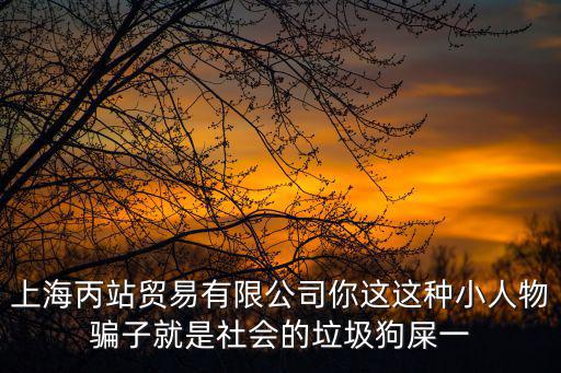 上海丙站貿易有限公司你這這種小人物騙子就是社會的垃圾狗屎一