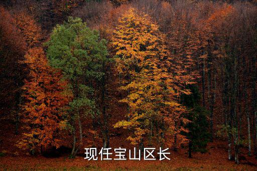 上海市寶山區法院副院長，2015寶執字第0005號是哪里的法院