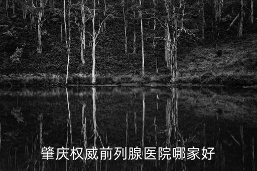 肇慶權(quán)威前列腺醫(yī)院哪家好