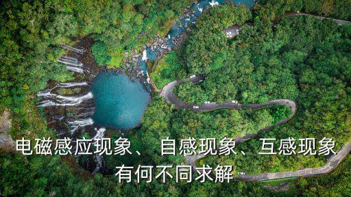 電磁感應現象、 自感現象、互感現象有何不同求解