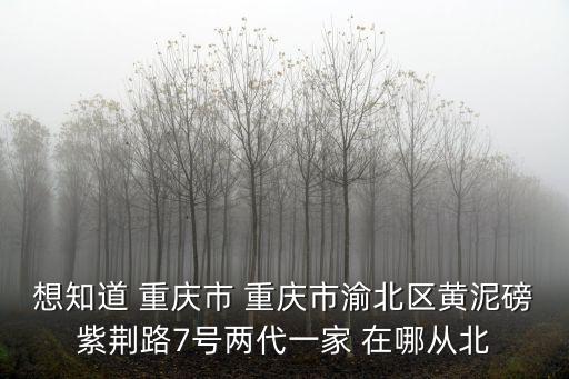 重慶市曲藝中心，重慶市主城區有沒有專門的唱片市場就是所謂的唱片收藏和買賣的地
