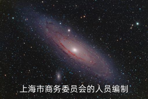上海市商業(yè)委員會1996年文件，上海市商務委員會的人員編制