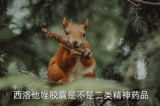  西洛他唑膠囊是不是二類(lèi)精神藥品
