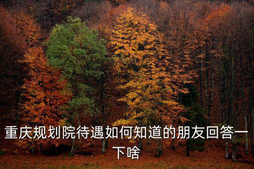 重慶規劃院待遇如何知道的朋友回答一下啥