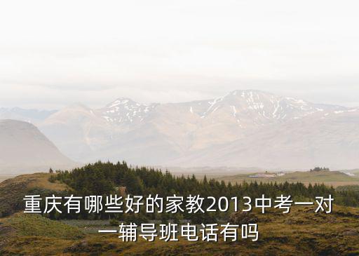 重慶有哪些好的家教2013中考一對一輔導班電話有嗎
