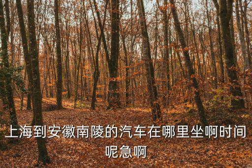 上海市到南陵的汽車(chē)站，上海到安徽南陵的汽車(chē)在哪里坐啊時(shí)間呢急啊