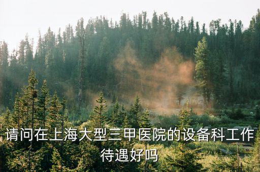請問在上海大型三甲醫(yī)院的設備科工作待遇好嗎