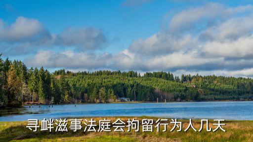 尋釁滋事法庭會拘留行為人幾天