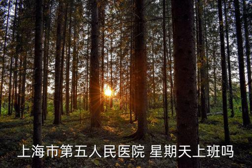 上海市第五人民醫院 星期天上班嗎