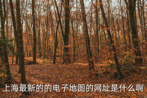 上海市全景地圖高清版下載，最新的上海地圖
