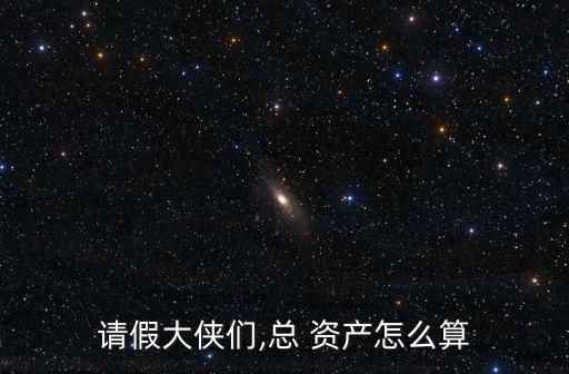 請假大俠們,總 資產(chǎn)怎么算