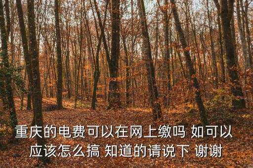 國網(wǎng)重慶市電力公司電費(fèi)交費(fèi)，重慶電費(fèi)繳費(fèi)