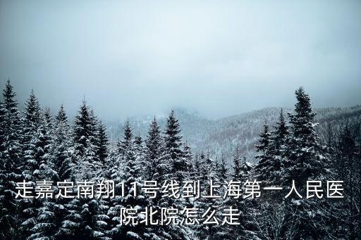走嘉定南翔11號線到上海第一人民醫(yī)院北院怎么走