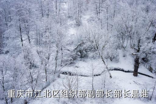 重慶市江北區(qū)組織部副部長部長是誰