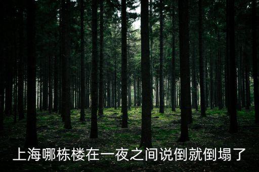 上海哪棟樓在一夜之間說倒就倒塌了