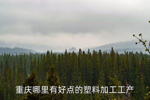 重慶哪里有好點的塑料加工工產