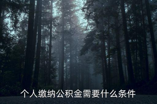 個人繳納公積金需要什么條件