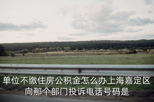 上海市嘉定區城鄉住房建設局電話，上海市住房和城鄉建設委員會在家什么地方