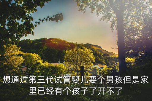 想通過第三代試管嬰兒要個男孩但是家里已經有個孩子了開不了