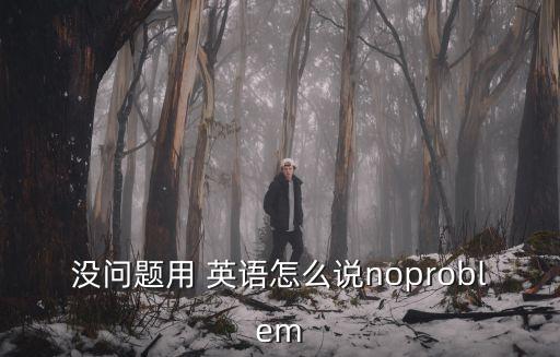 沒問題用英語怎么說,從零開始!