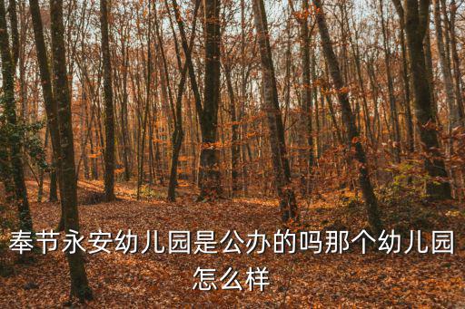 奉節永安幼兒園是公辦的嗎那個幼兒園怎么樣