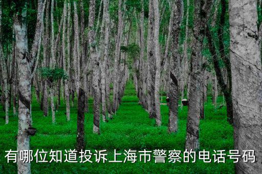 有哪位知道投訴上海市警察的電話號(hào)碼