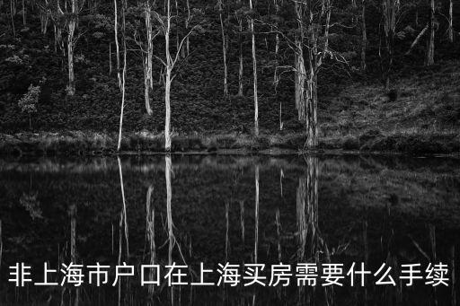 非上海市戶口在上海買房需要什么手續
