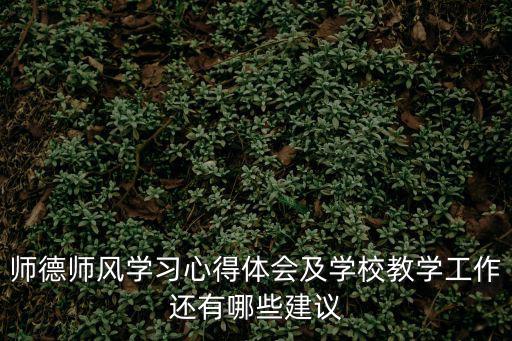 師德師風學習心得體會及學校教學工作還有哪些建議