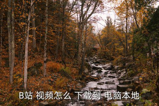如何下載b站視頻到電腦,如何緩存手機嗶哩嗶哩視頻?