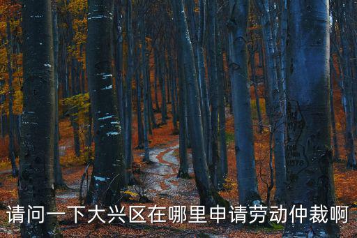請問一下大興區(qū)在哪里申請勞動仲裁啊