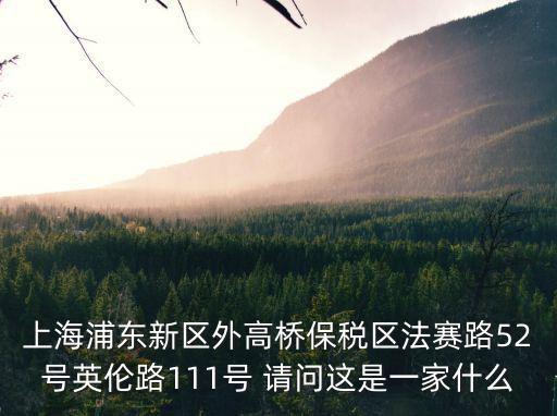 上海浦東新區外高橋保稅區法賽路52號英倫路111號 請問這是一家什么